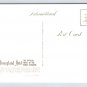 Anaheim California Water World Disneyland Hotel Magic Kingdom Postcard (ContB-809)
