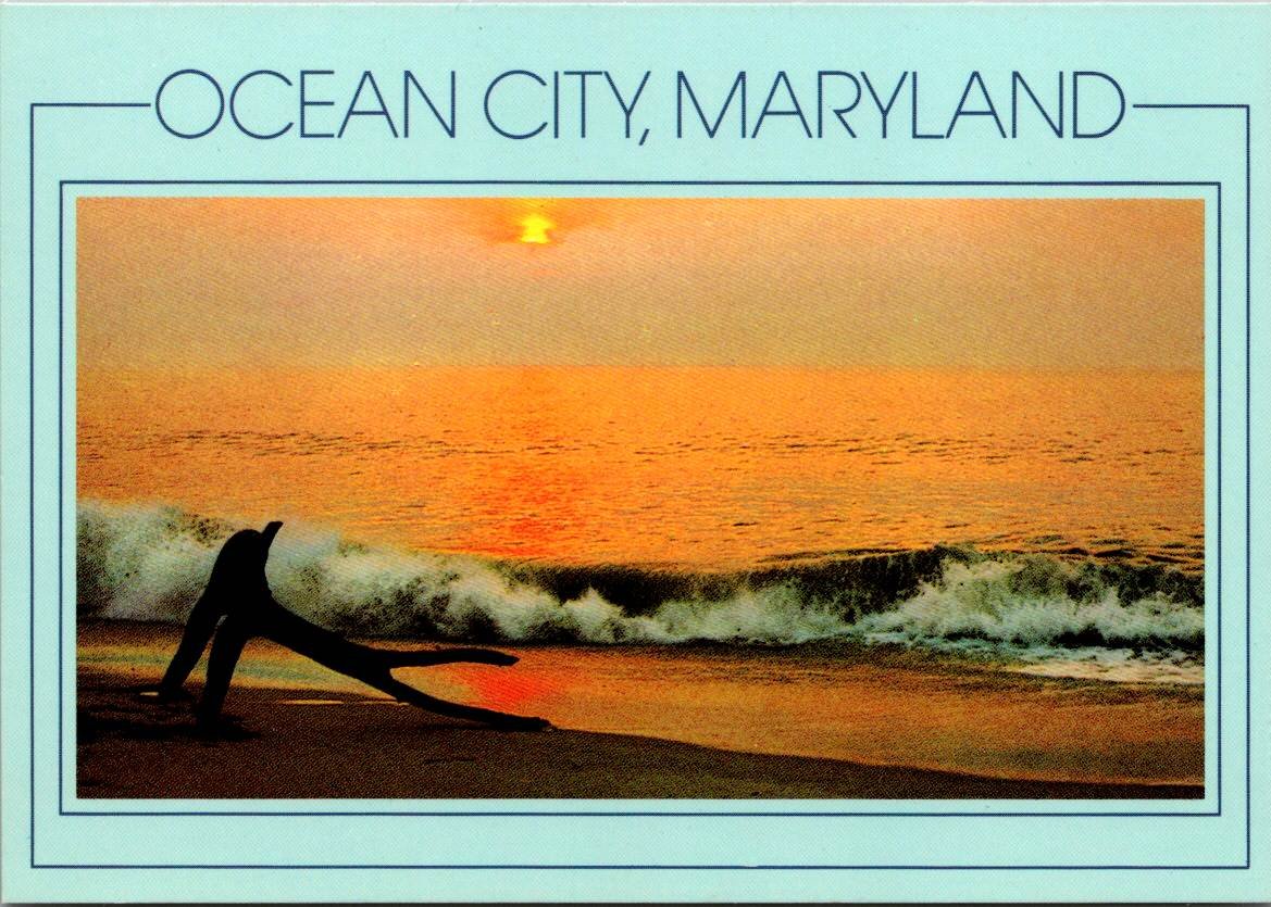Ocean City Maryland Sunrise Surf & Driftwood - R.C. Pulling Postcard (ContC-09)