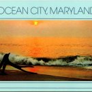 Ocean City Maryland Sunrise Surf & Driftwood - R.C. Pulling Postcard (ContC-09)