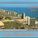 Ocean City Maryland From 94th Street Rose's Dept Store - R.C. Pulling Postcard (ContC-17)