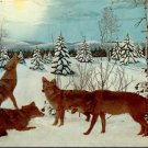 Gaylord Michigan the Call of the Wild Museum Coyotes Postcard (T-203)