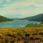 Kalamalka Lake British Columbia Canada - Sunflower time Postcard (T-365)