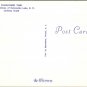 Kalamalka Lake British Columbia Canada - Sunflower time Postcard (T-365)
