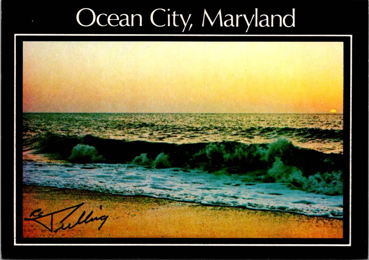 Ocean City Maryland Beach Sunrise over Surf - RC Pulling Postcard (ContC-97)