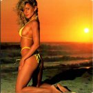 Florida Gold Beach Babe, Bakini, Rique Pinup Postcard (ContC-99)