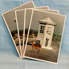 Assateague Island State Park Sika Deer - Lot of 4 Postcards (ContC-129)