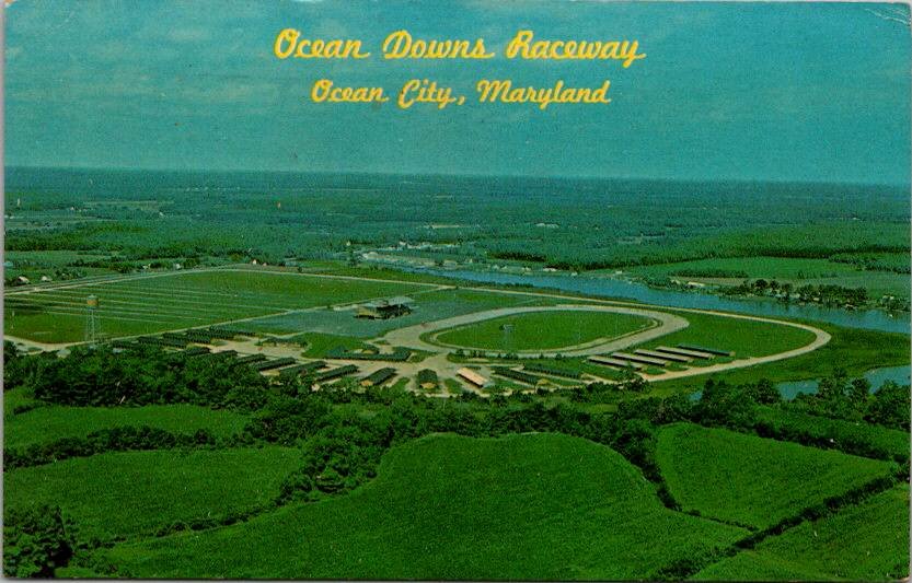 Ocean City, Berlin Maryland Ocean Downs Raceway Postcard (T-723)