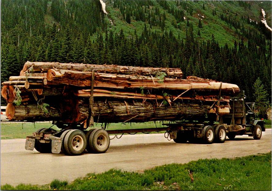 Postcard Logging Truck British Columbia Hauling Logs Canada (ContC-151)