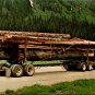 Postcard Logging Truck British Columbia Hauling Logs Canada (ContC-151)