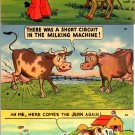 Humor Cow Comic Postcard - Pick One (U-261)