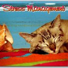 Stress Management Sleeping Cat at the Beach in Florida Postcard (ContC-183)