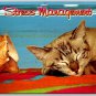 Stress Management Sleeping Cat at the Beach in Florida Postcard (ContC-183)
