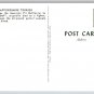 American Pit Bull Dog Terrier Postcard (V-492)