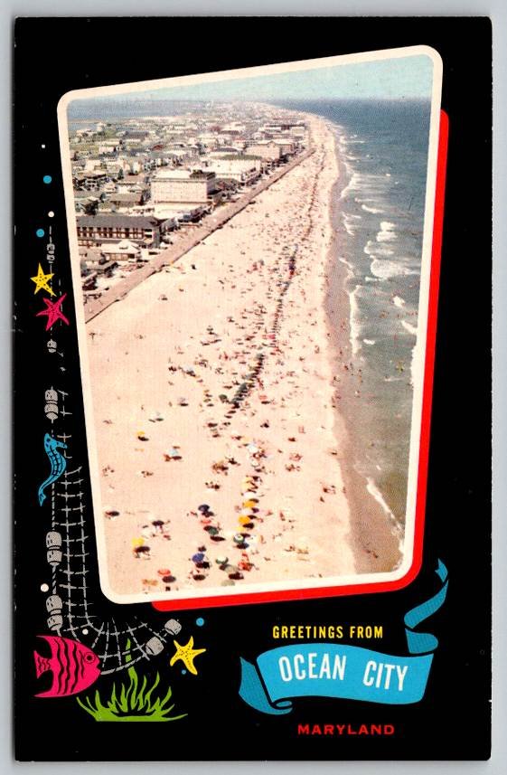 Ocean City, Maryland Greetings From Aerial View Postcard (V-577)