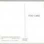 Child Playing with Pail on Sandy Beach, Atlantic Coast Postcard (ContD-91)