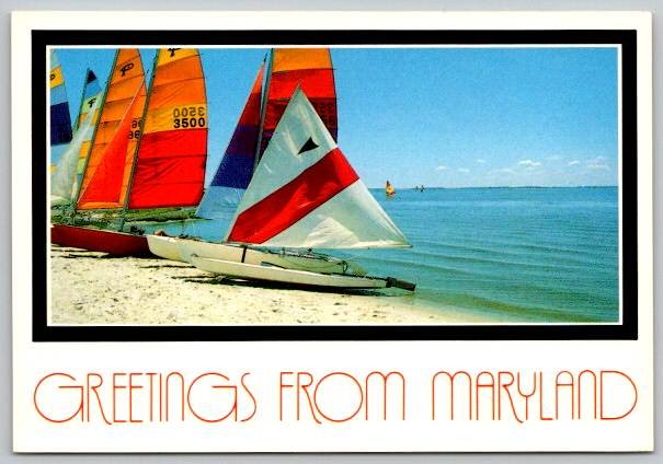 Maryland Atlantic Coast Sailboats on Seashore Postcard (OC-69)