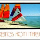 Maryland Atlantic Coast Sailboats on Seashore Postcard (OC-69)