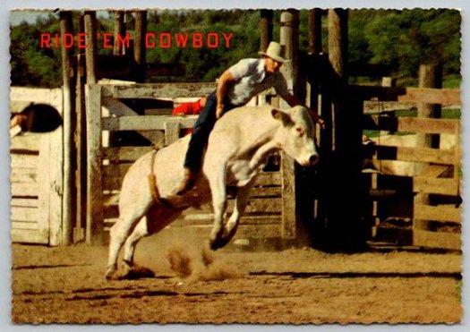Ride'Em Cowboy Western Rodeo Bronco Postcard (ContE-93)