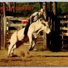 Ride'Em Cowboy Western Rodeo Bronco Postcard (ContE-93)