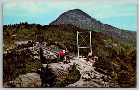 Linville North Carolina Swinging Bridge at Grandfather Mountain Postcard (X-230)