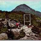 Linville North Carolina Swinging Bridge at Grandfather Mountain Postcard (X-230)