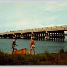 Fenwick Island Delaware Greetings From Boys & Boat Having Beach Fun Postcard (X-368)