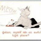 MEOW I've Gotten Myself Into A Tight Place Cat, Mouse 1925 Postcard (X-492)