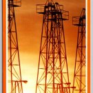 Texas Black Gold Oil Wells Postcard (Y-436)