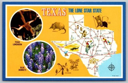 Texas Map, The Lone Star State Postcard (Y-461)
