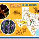 Texas Map, The Lone Star State Postcard (Y-461)