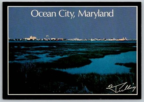 Ocean City Maryland Skyline View over the Bay Postcard (ContF-171)