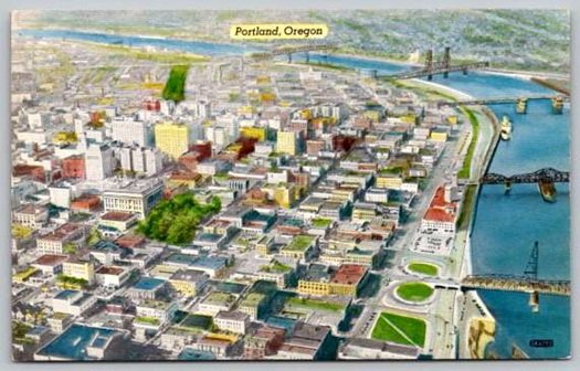 Portland Oregon Willamette River & 5 Bridges - Vintage Shini Coor Postcard (Y-556)