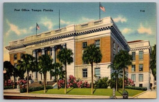 Tampa Florida Post Office Postcard  (Y-678)