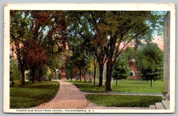 Poughkeepsie New York Vassar Elm Walk from Chapel 1924 Postcard (Y-802}