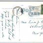 Poughkeepsie New York Vassar Elm Walk from Chapel 1924 Postcard (Y-802}