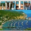 Santa Catalina Island California Avalon Large Letter Postcard(ContF-197)