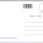 Florida Sea Shells Postcard (PCCA-39)