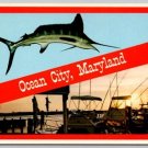 Ocean City Maryland White Marlin Capital Postcard (OC-93)