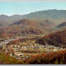 Gatlinburg Tennessee Business Section Mount Le Conte in Background Postcard (AA-169)