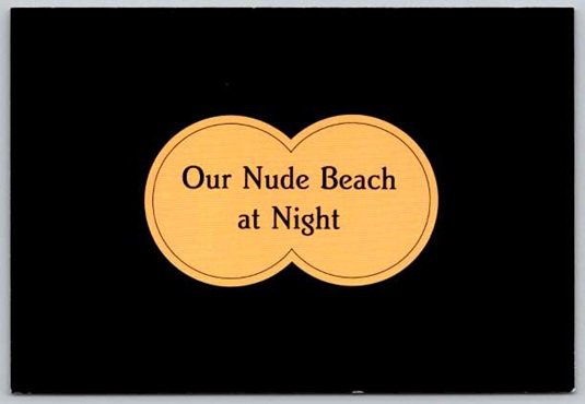 Ocean City Maryland Our Nude Beach Enjoying the Night Life Postcard (ContG-159)