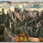 Black Hills South Dakota Horseshoe Curve on Needles Highway 1950 Postcard (AA-451)