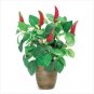 CHILI PEPPER PLANT  Retail: $9.95