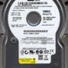 WD Caviar WD800JD 80 GB Internal hard drive - 300 MBps - 7200 rpm Hard Drive