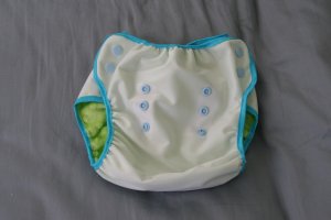 Medium/ Large Pocket Diaper Blue/ Green 5 pack