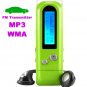 MP3 Player and 4GB Flash Drive & FM Transmitter/Car Kit