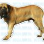 MASTIFF - Dog Decal - sticker dogs car got window