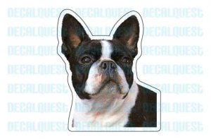 BOSTON TERRIER - Dog Decal - sticker car got lover gift