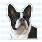 BOSTON TERRIER - Dog Decal - sticker car got lover gift