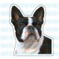 BOSTON TERRIER - Dog Decal - sticker car got lover gift