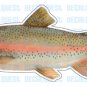 RAINBOW TROUT -Fish Decal- sticker truck fishing